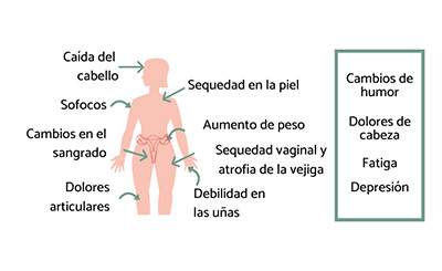 anastrozol efectos menopausia